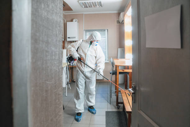 Best Environmental Consulting for Mold Prevention  in Addison, TX